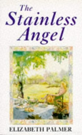The Stainless Angel 9780099195818