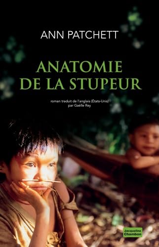 Anatomie de la stupeur 9782330016401