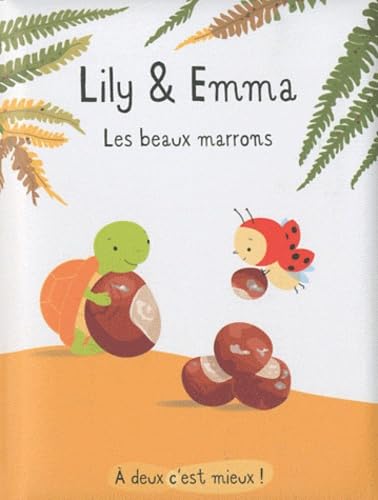 Les beaux marrons 9782848653860