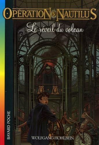 Le réveil du volcan 9782747017275