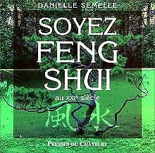 Soyez feng-shui au XXIe siècle 9782845920125