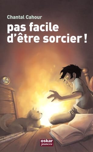 Pas facile d'être sorcier ! 9782350004396