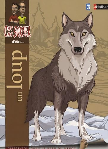 C'est pas sorcier d'être un loup 9782092512524