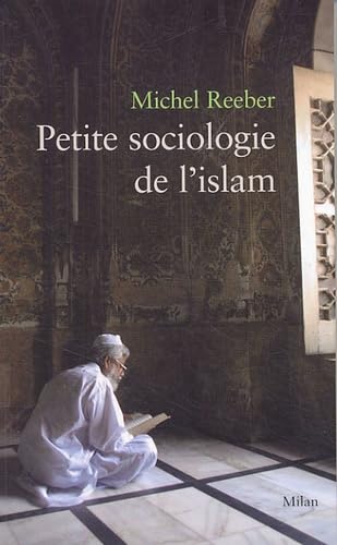Petite sociologie de l'islam 9782745916815