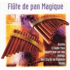 Flute De Pan Magique 3487780300525
