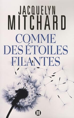 Comme des étoiles filantes 9782848930411