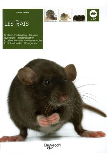Les rats 9782732884202