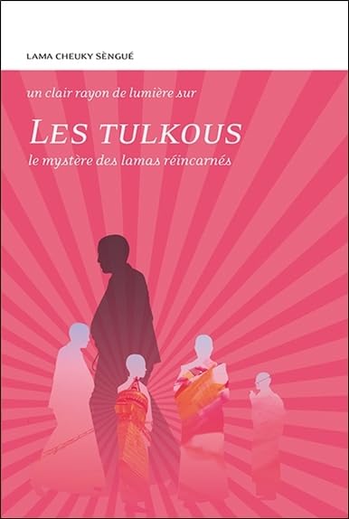 Les Tulkous - Le mystère des lamas réincarnés 9782354540265