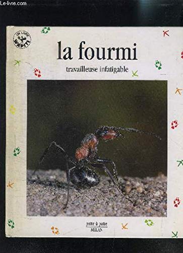 La Fourmi : Travailleuse infatigable 9782841132249