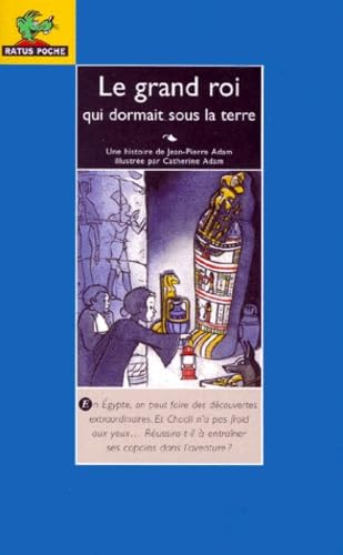 Le grand roi qui dormait sous la terre 9782218729379