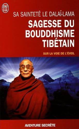 Sagesse du bouddhisme tibétain 9782290008331
