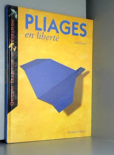 Origami: Pliages en liberté 9782040217754