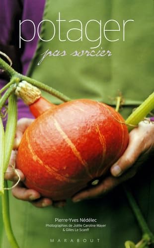 Potager pas sorcier 9782501043960