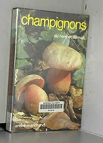 champignons du nord et du midi tome 3 boletales et aphyllophorales