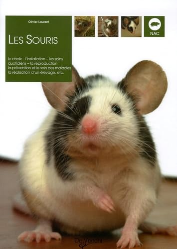 Les souris 9782732884219
