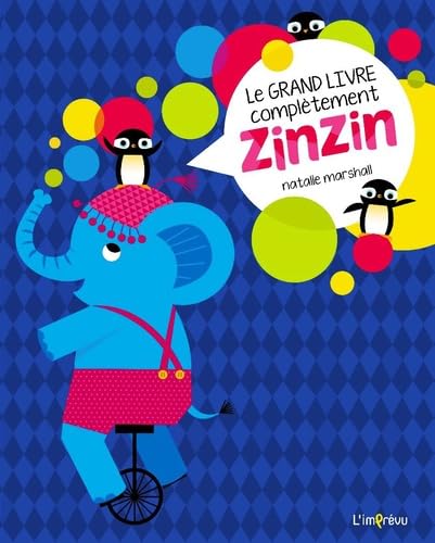 Le grand livre complètement zinzin 9791029502750