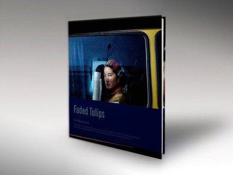 Faded Tulips 9781909076013
