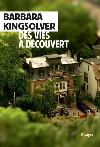 Des vies à découvert 9782743651077