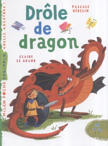 Drôle de Dragon 9782745929167