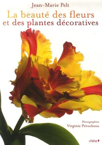 La beauté des fleurs et des plantes décoratives 9782842777142
