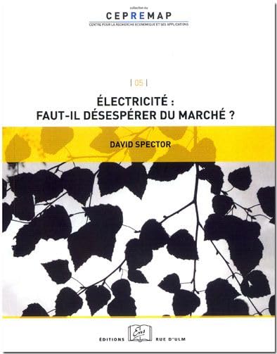 Electricite:Faut-Il Desesperer du Marche ? 9782728803828