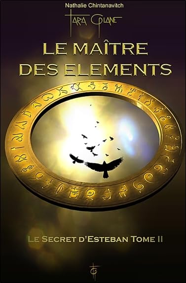 Le maître des éléments - Secret d'Esteban T2 9782953231847