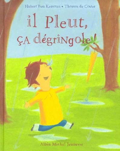 Il Pleut, Ca Degringole ! 9782226117847