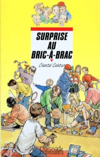 Surprise au bric-a-brac 9782700224689
