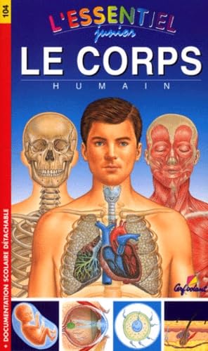 Essentiel: le corps humain 9782840642749