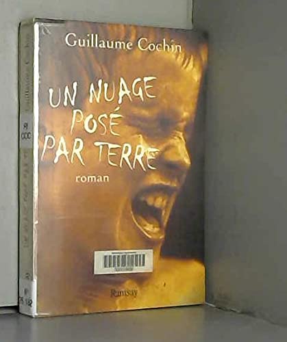 Un nuage posé par terre 9782841145164