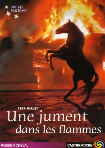 Cheval fantome t.3 une jument dans les flammes 9782081634107