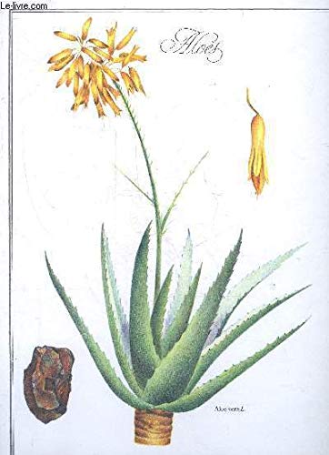 Un jardin pour la peau 9782840590026