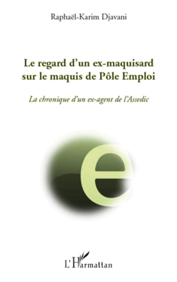 Le regard d'un ex-maquisard sur le maquis de Pôle Emploi: La chronique d'un ex-agent de l'Assedic 9782296541160
