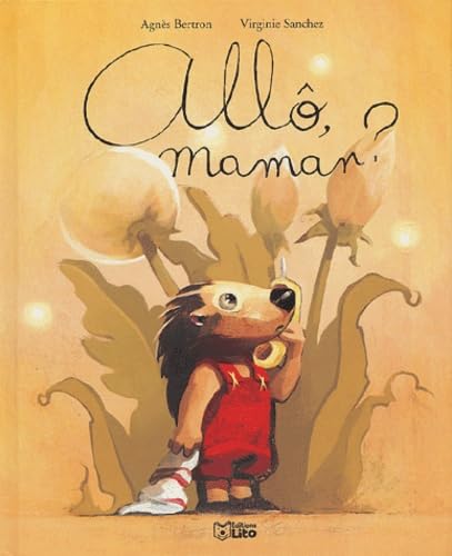 Allô, Maman ? ( périmé ) 9782244419312