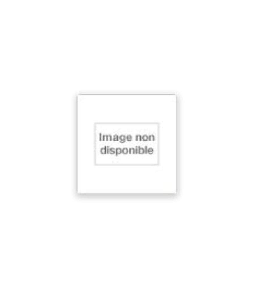 L'URSS: La roulette russe des nationalismes 9782227067097