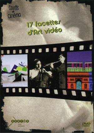17 facettes d'Art vidéo 9782866193096