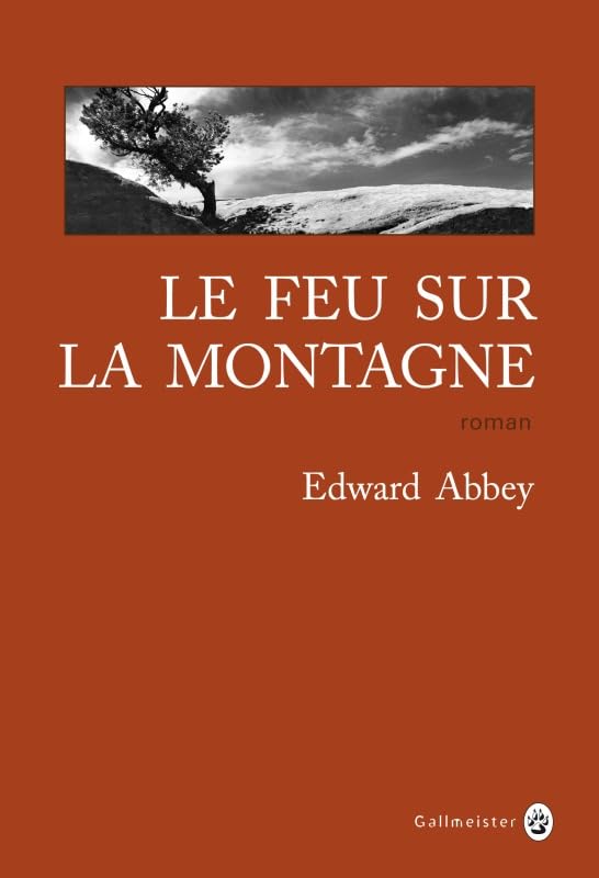 Le feu sur la montagne 9782351780930
