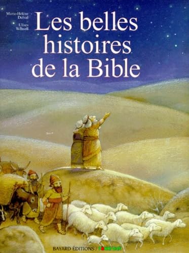 Les belles histoire de la bible 9782227602373