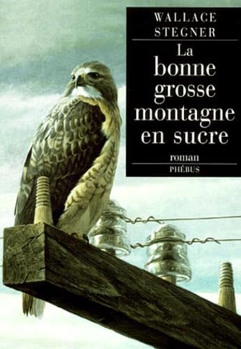 La Bonne Grosse Montagne en sucre 9782859408152