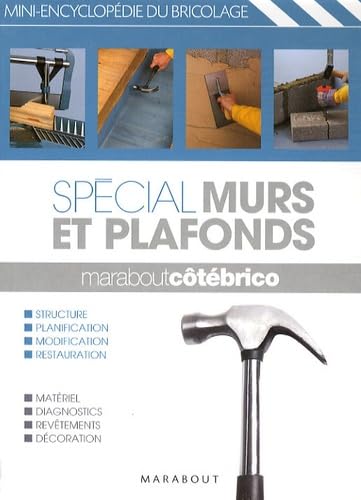 Spécial Murs et plafonds 9782501058230