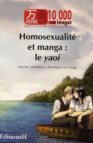 Homosexualité et manga : le yaoi 9782953178104