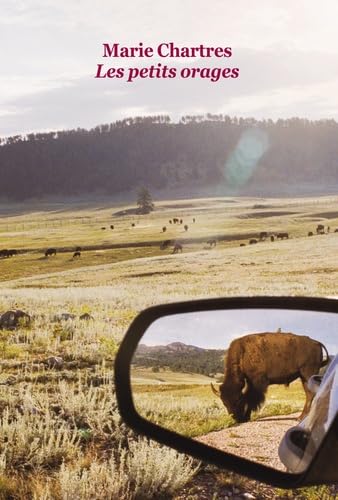 LES PETITS ORAGES GRAND FORMAT 9782211222969