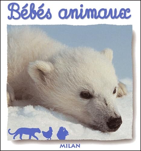 Bébés animaux 9782745908285