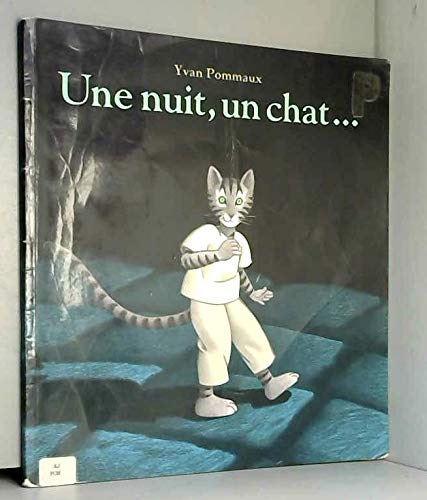 Une nuit, un chat 9782211035088