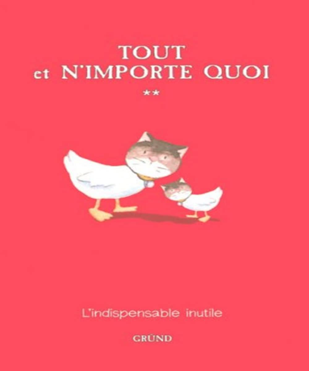 Tout et n'importe quoi 9782700017878