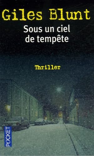 Sous un ciel de tempête 9782266154628