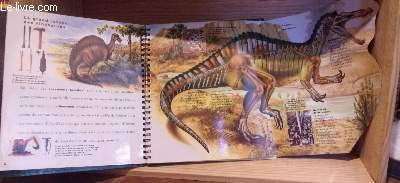 Mi-oiseaux, mi-dragons, les dinosaures 9782070546787