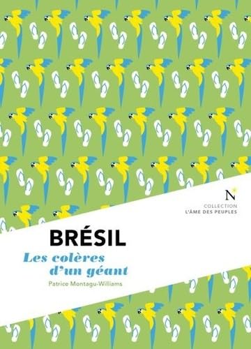 BRÉSIL 9782875232137