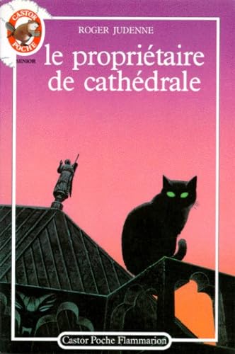 Le Propriétaire de cathédrale 9782081619517