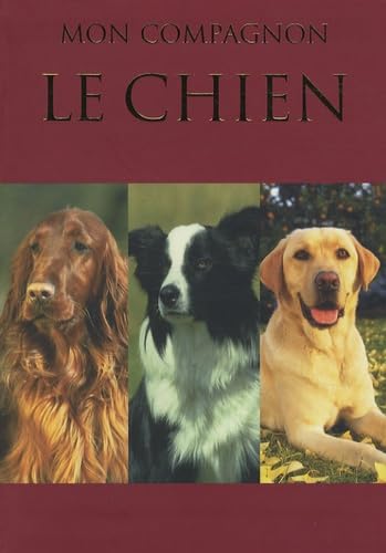 Le chien - Mon compagnon 9781407511948